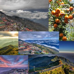 Wednesday Wanderers: Know All About Sittong