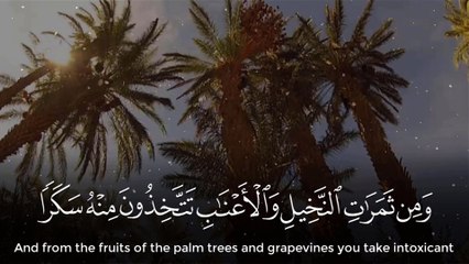 وأوحى ربك إلى النحل - القارئ عبدالله الموسى