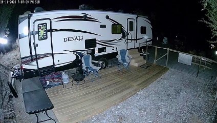 Mountain Lion with Fox in its Mouth