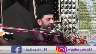 Hussainiat Kya Hai ||  Insaniyat Kya Hai || Allama Nasir Abbas Multan