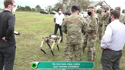 Os incríveis cães robôs que viraram soldados