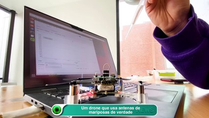 Um drone que usa antenas de mariposas de verdade