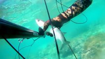 Spearfishing Grey Mullet / Zıpkınla Kefal Avı