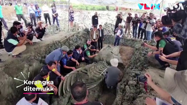 Peneliti Temukan Paus Berumur 5000 Tahun di Thailand