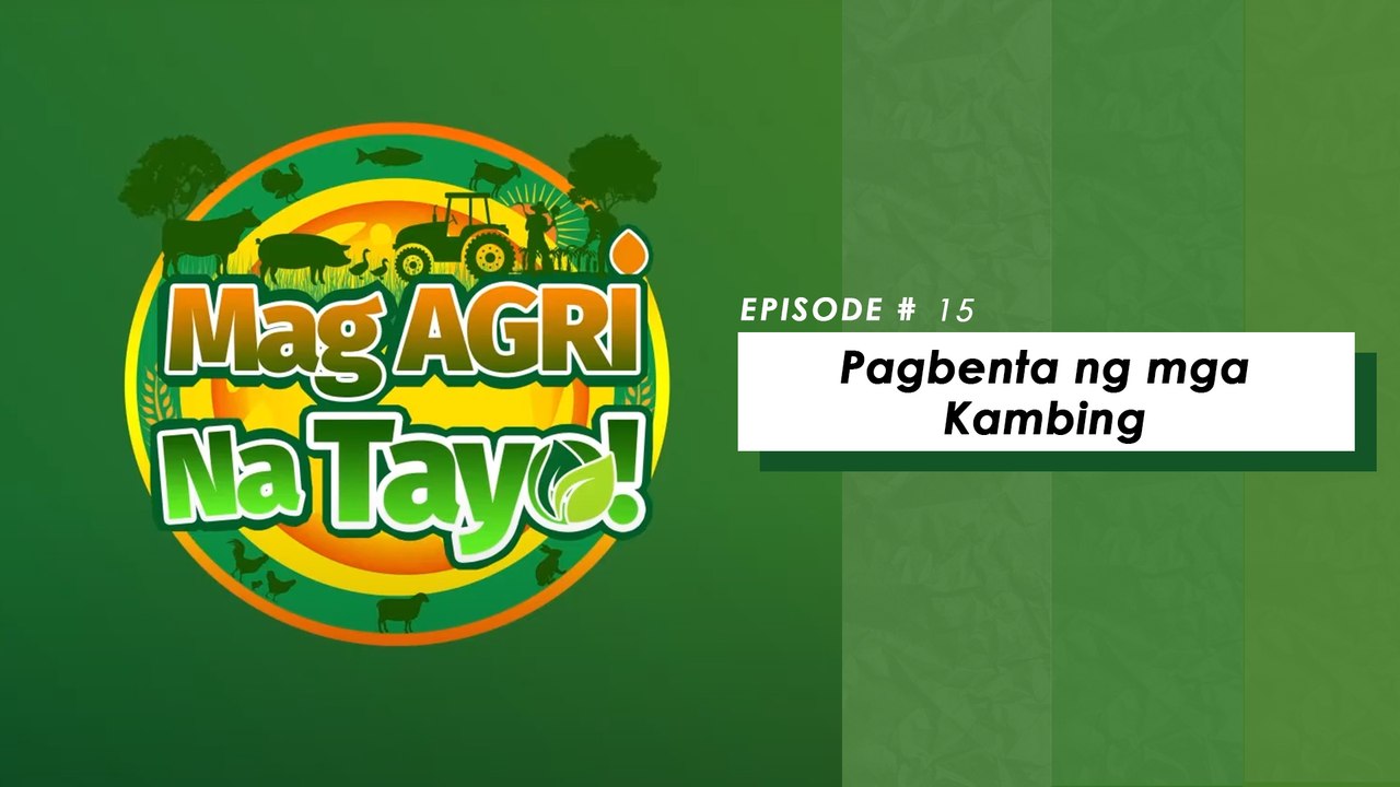 "PAGBENTA NG MGA KAMBING" Mag-Agri Na Tayo! Ep-15