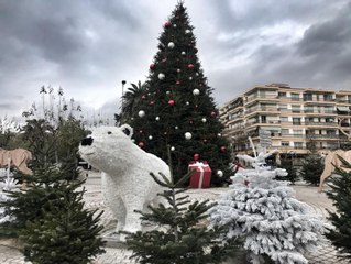 Des voleurs s'en prennent aux sapin de Noël installés par les villes sur la Côte d'Azur