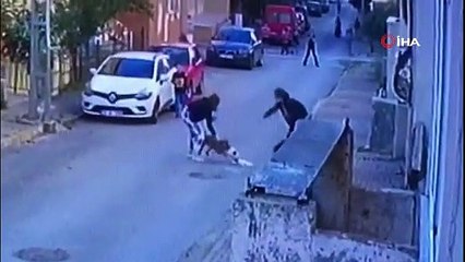 İstanbul'da pitbull dehşeti kamerada