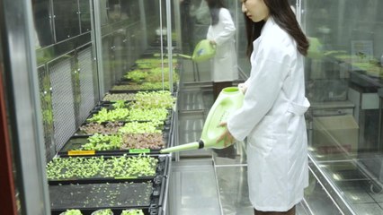 [녹색] 식물도 감정이 있다...반려식물과 교감 가능 / YTN