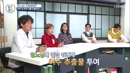 췌장과 신장 기능에 도움을 주는 ⋄여주⋄ #광고포함