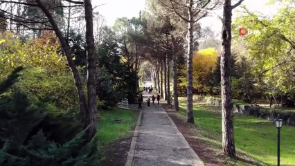 Atatürk Arboretumu’nda Sonbahar Manzarası