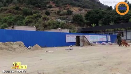 Un chien militaire refuse de laisser partir son maître à la retraite...