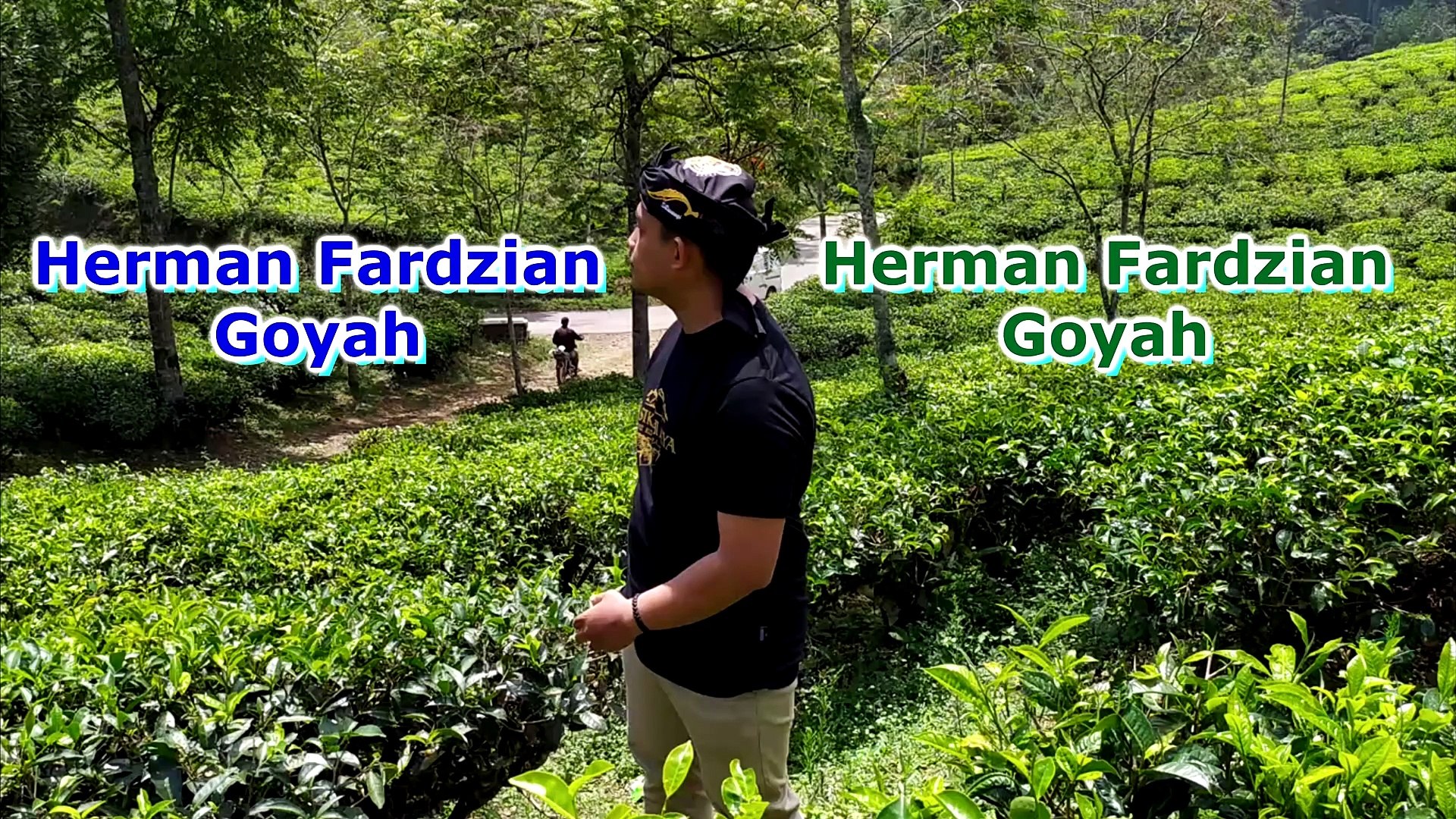 Herman Fardzian - Goyah (Cover) Ultra HD 4K 24fps