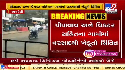 Savarkundala received unseasonal rain showers, farmers worried  Amreli Tv9GujaratiNews