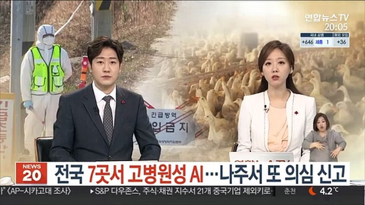 전국 7곳서 고병원성 AI…나주서 또 의심 신고