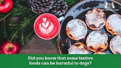Top tips to keep your dog safe this Christmas!