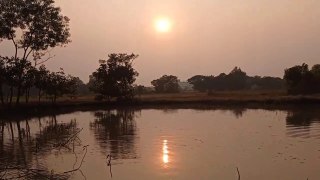 Reflection of the sun in a small pond