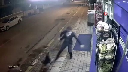 Sokak köpeklerinin saldırısını tekmeyle püskürttü...O anlar kamerada