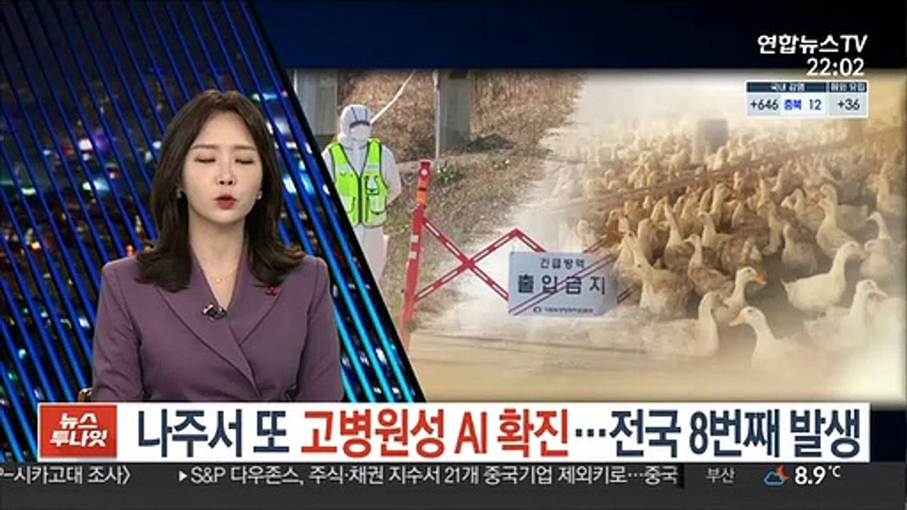 나주서 또 고병원성 AI 확진…전국 8번째 발생