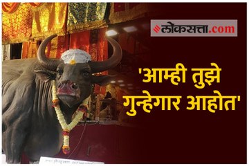 'आम्ही तुझे गुन्हेगार आहोत'