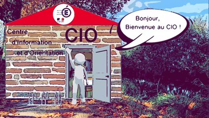 Qu’est-ce qu’un CIO ?