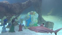 Zoo Aquarium de Madrid instala su tradicional Belén acuático