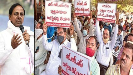 Telangana : Real Estate Developers Association Against LRS