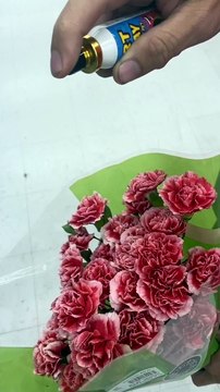 Strangers Test Foul Smelling Flowers