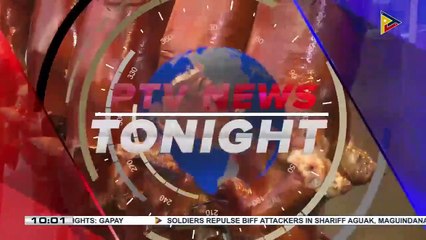 QC Veterinary Department inspects pigs that will be served as lechon
