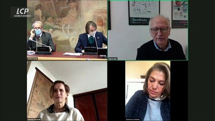 Alain Fischer : la campagne de vaccination se fera en "montée d'escalier"