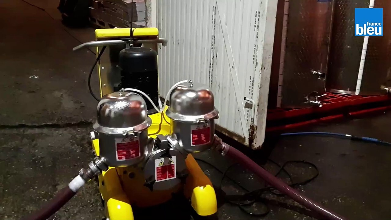 L'AOC des vins d'Irouleguy a 50 ans : retour sur un parcours semé d'embûches