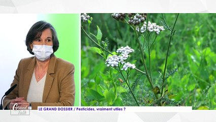 Le Grand Talk  - 10/12/2020 - 2/3 - Pesticides, vraiment utiles ?