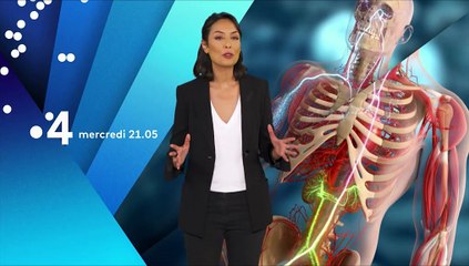 Lumni Sciences -Notre corps ce réseau social- Bande Annonce