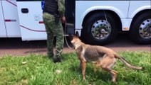 Bpfron realiza abordagens a ônibus na Av. Tancredo Neves