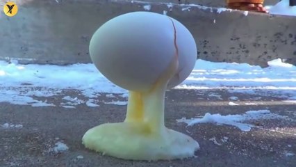 urdu hindi15 Things You Will See for The First Time in Your Life