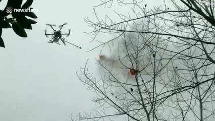 En chine ils détruisent les nids de frelons avec des drones équipés de lance-flamme