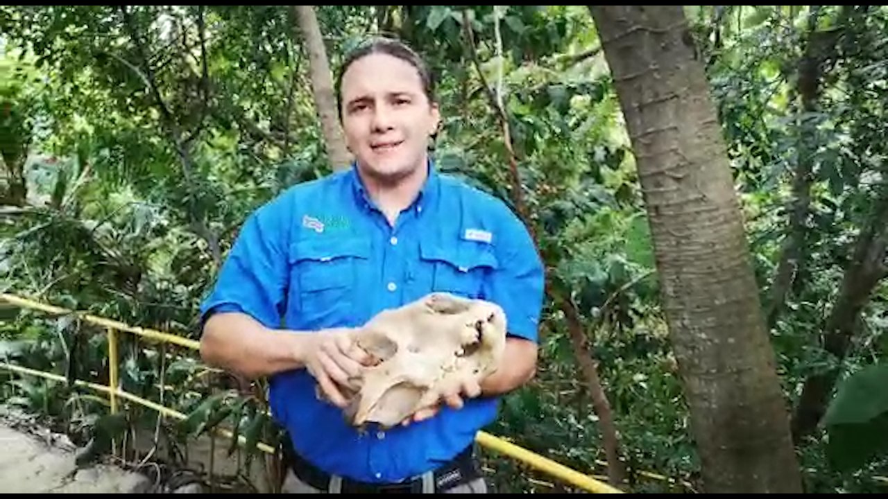 ext-rodolfo-vargas-refugio-animal-costa-rica-101220