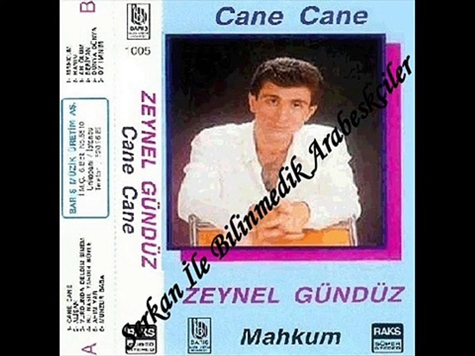Zeynel Gündüz - Mahkum