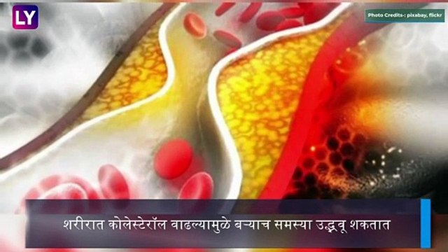 Advantage Of Methi Seeds: मेथीच्या दाण्याचे 'हे' उपयुक्त फायदे तुम्हाला माहीत आहेत का ?