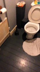 Water Bubbles Warble in Troubled Toilet Bowl