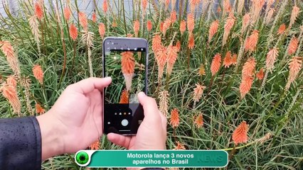 Motorola lança 3 novos aparelhos no Brasil
