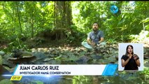 Costa Rica Noticias - Estelar Jueves 10 Diciembre 2020