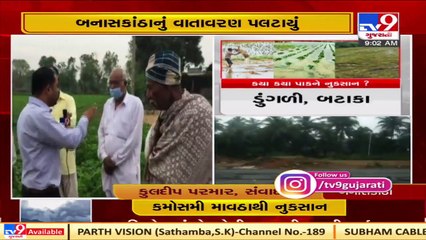 Parts of Gujarat received unseasonal rain shower, Farmers worried _