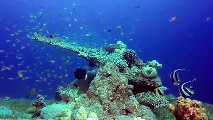 Deep Sea Relaxing Piano Music for Beautiful Relaxing Music, Sleep Music,Stress Relief