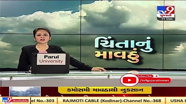 Congress Presidents Amit Chavda demands survey for farmers _ Tv9News