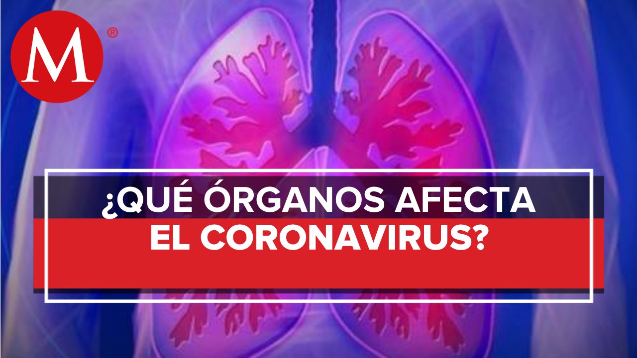 Infrecuentes, las alteraciones a órganos distintos al aparato respiratorio: Ssa
