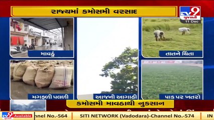 Farmers worried over crop loss due to unseasonal rain in major parts of Gujarat _