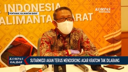 Gubernur Optimistis Ekspor Kratom akan Meningkatkan Ekonomi Kalbar