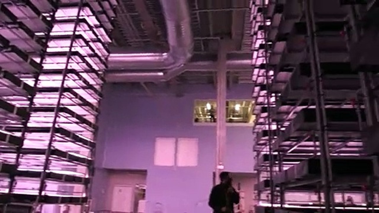 Salat aus der Senkrechtfarm