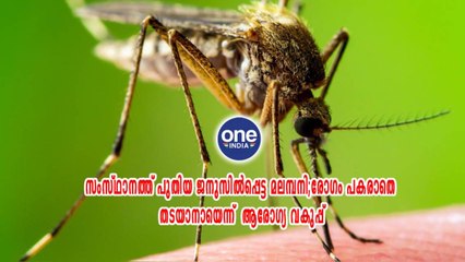 കേരള: സംസ്ഥാനത്ത് പുതിയ ജനുസിൽപ്പെട്ട മലമ്പനി; രോഗം പകരാതെ തടയാനായെന്ന്  ആരോഗ്യ വകുപ്പ്