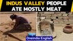 Indus Valley people ate mostly meat like pigs & cattle | Oneindia News